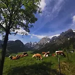 Helle Saunahaus Apartmán Annaberg im Lammertal