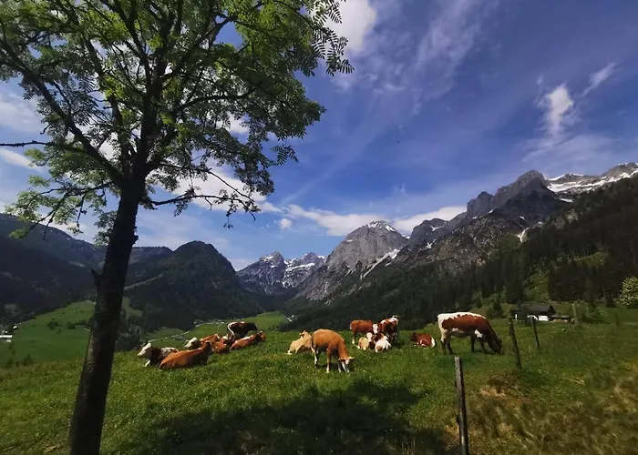 Helle Saunahaus Apartamento Annaberg im Lammertal